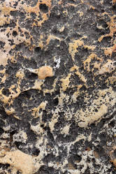 Similar image 8171003