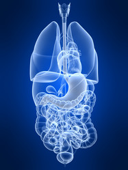 Similar image 8171020