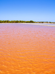 Similar image 8171104