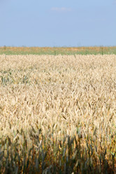 Similar image 8171286