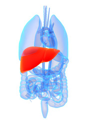 Similar image 8171326