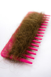 Similar image 8171430