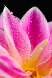 Similar image 8171434