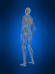 Similar image 8171474