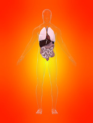 Similar image 8171548