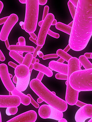 Similar image 8171688