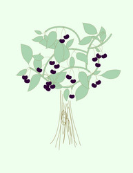 Similar image 8171704