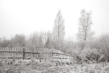 Similar image 8171766