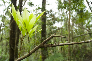 Similar image 8171782