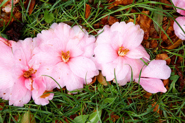 Similar image 8171791