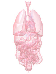 Similar image 8171819