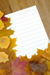 Similar image 8171850