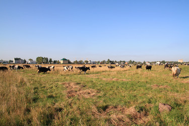 Similar image 8171856