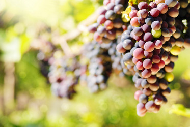 Similar image 8171862