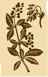 Similar image 8171999