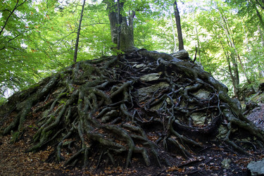 Similar image 8172024