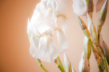 Similar image 8172059