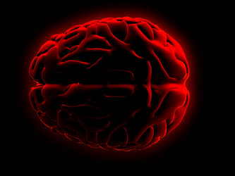 Similar image 8172069