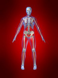 Similar image 8172169