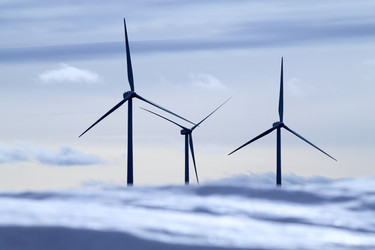 Similar image 8172197