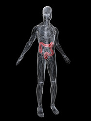 Similar image 8172200