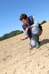 Similar image 8172204