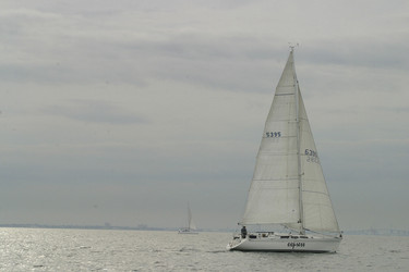 Similar image 8172206