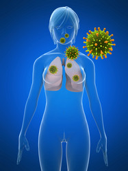 Similar image 8172209