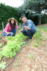 Similar image 8172254