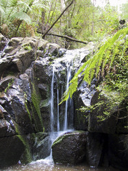 Similar image 8172261