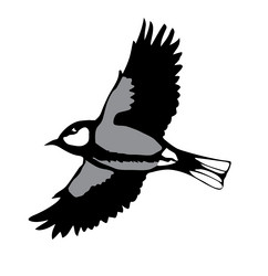 Similar image 8172311