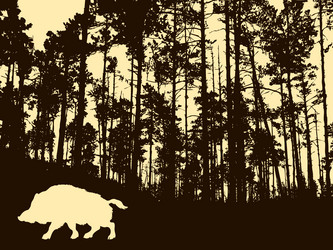 Similar image 8172313