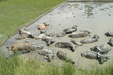 Similar image 8172357