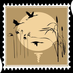 Similar image 8172373