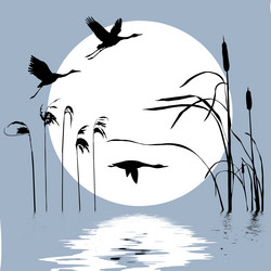 Similar image 8172376