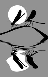 Similar image 8172420