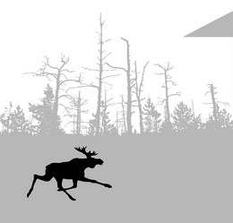 Similar image 8172466