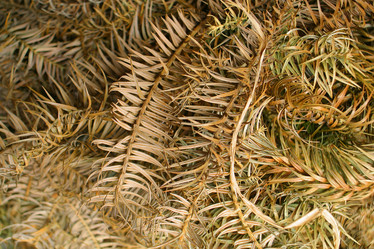 Similar image 8172480