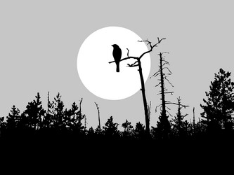 Similar image 8172492