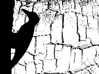 Similar image 8172500