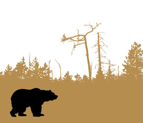 Similar image 8172541