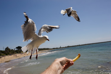 Similar image 8172555