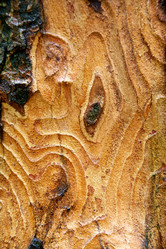 Similar image 8172561