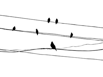 Similar image 8172571