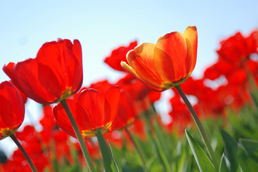 Similar image 8172627