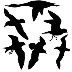 Similar image 8172647