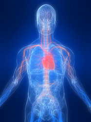 Similar image 8172654