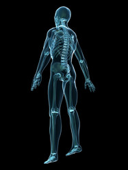 Similar image 8172661