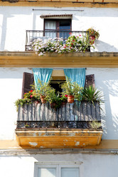 Similar image 8172669