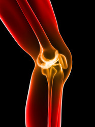 Similar image 8172675